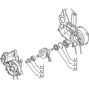 Roulements du vilebrequin
