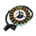 IGNITION STATOR FOR SUZUKI 125 VAN VAN, MARAUDER (OEM 32101-12F00/30 - 32101-13G10-000) -P2R