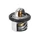 THERMOSTAT/CALORSTAT MAXISCOOTER ADAPTABLE PIAGGIO 125-250-300 MP3, BEVERLY, VESPA GTS/GILERA 125-250-300 NEXUS/APRILIA 125/250/300 ATLANTIC, SPORT-CITY (OEM: 82831R5) -P2R