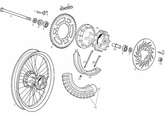 Roue arrière