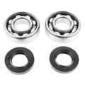 BEARING FOR CRANKSHAFT+SEALS FOR 50CC MOTORBIKE P2R FOR DERBI 50 SENDA, GPR/GILERA 50 SMT, RCR (ENGINE EURO 2 + EURO 3) (KIT 6204 FAG STEEL C3/NITRILE SEAL)