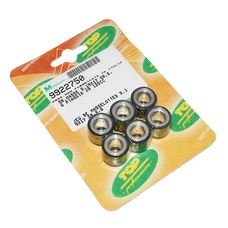 VARIATOR ROLLERS FOR MAXISCOOTER TOP PERFORMANCES 19x17 13,0g (x6) FOR PIAGGIO 125 BEVERLY, FLY, LIBERTY, MP3, YOURBAN VESPA LX ET GTS, X10, X9, X8, X7, X-EVO