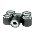 VARIATOR ROLLER FOR MAXISCOOTER MALOSSI 25x22,2 20,0g (x6) FOR PIAGGIO 500 X9 EVOLUTION FOR VARIATOR MULTIVAR