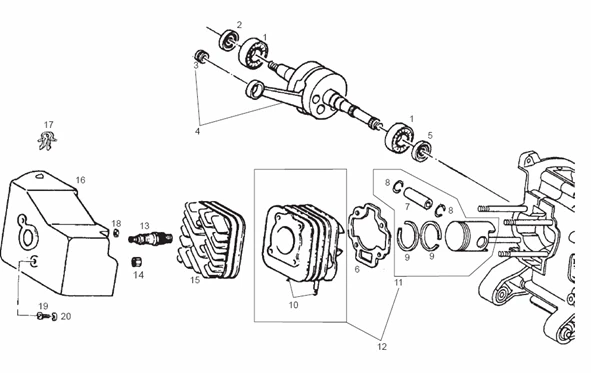 Arbre moteur