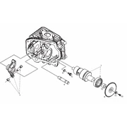 Culbuteur