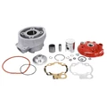 HAUT MOTEUR 50 A BOITE X TREM RACING POUR MINARELLI 50 AM6/MBK 50 X-POWER, X-LIMIT/YAMAHA 50 TZR, DTR/PEUGEOT 50 XPS/RIEJU 50 RS1/BETA 50 RR/APRILIA 50 RS 1995>2005 (CULASSE A PLOT)  -ALU AIRSAL-