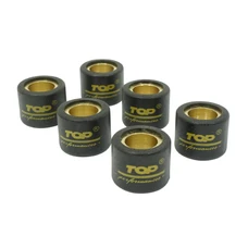 VARIATOR ROLLER FOR  MAXISCOOTER TOP PERFORMANCES  23x18  22,0g (x6) FOR HONDA 300 SH/KYMCO 250 GRAND DINK QUADRO D-S