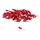COSSE ELECTRIQUE PRE-ISOLEE MALE DIAM 4mm ROUGE POUR SECTION FIL 0,25 à 1,5 mm- (VENDU AU SACHET DE 100 PIECES) -SELECTION P2R