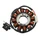 IGNITION STATOR FOR SCOOT PIAGGIO 50 ZIP 4STROKE 2000>, ET4, LIBERTY 4STROKE 2000>, VESPA LX 4STROKE 2005>, FLY 4STROKE 2005>/APRILIA 50 SCARABEO 4STROKE 2002>/DERBI 50 ATLANTIS 4STROKE 2004> (12 POLES) -SELECTION P2R
