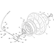 Roue arrière