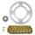 KIT CHAINE ADAPTABLE BETA 50 RR ENDURO 2012>2017, RR ENDURO FACTORY 2012>2017, RR ENDURO STANDARD 2012>2014 420 13x51 (DIAM COURONNE 100/120/8.5/16) -AFAM