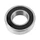 ROULEMENT BLACKBEARING B3 21.5x31-7mm (6004-2rs / 21.5)