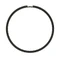 SEGMENT RACLEUR HUILE ORIGINE PIAGGIO COMMUN A LA GAMME MAXISCOOTER 250 CC -486363