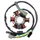 IGNITION STATOR FOR 50CC MOTORBIKE DERBI 50 SENDA, GPR/GILERA 50 SMT, RCR (60W WITH SENSOR) (WITHOUT PLATE) -SELECTION P2R