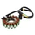 STATOR ALLUMAGE MAXISCOOTER ADAPTABLE SUZUKI 125 UH BURGMAN 2006>2013 18 (POLES) (OEM: 3210103H01000) -MAGNETI MARELLI