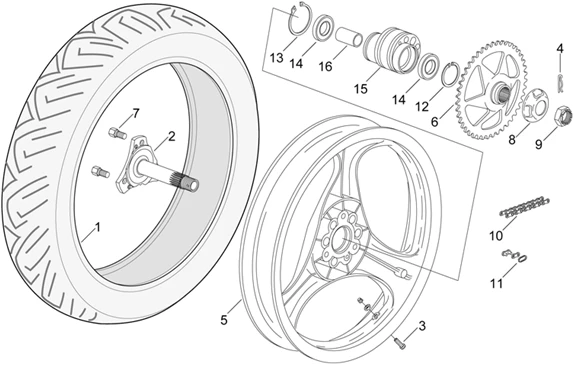 Roue arrière