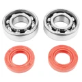 BEARING FOR CRANKSHAFT+SEALS FOR 50CC MOTORBIKE P2R FOR DERBI 50 SENDA, GPR/GILERA 50 SMT, RCR (ENGINE EURO 2 + EURO 3) (KIT 6204 SKF STEEL C4/RACING RED SEAL)