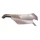 TABLIER AVANT GAUCHE ORIGINE PIAGGIO APRILIA 125 SCARABEO 2007>2012 LIGHT ROSE  -JC483129200008F-