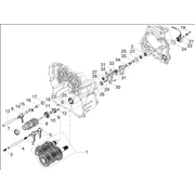 Boîte de vitesses / Selecteur / Desmodromique