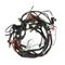 CABLE BUNDLE "PIAGGIO GENUINE PART" 125-300 VESPA GTS 2009>2016 -641669