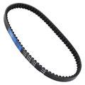 COURROIE SCOOT POLINI ORIGINAL POUR PIAGGIO 50 ZIP 4T 3V 2021>, VESPA PRIMAVERA 4T 2018>, VESPA SPRINT 3V 2021> (248.135)