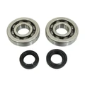 BEARING FOR CRANKSHAFT+SEALS FOR SCOOT P2R FOR PIAGGIO 50 ZIP 2T, TYPHOON, NRG/GILERA 50 STALKER, RUNNER (KIT SC04A47CS TPI POLYAMID/NITRILE SEAL)