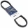 COURROIE MAXISCOOTER ADAPTABLE PEUGEOT 125 ELYSEO, ELYSTAR, JET-FORCE (832 x 18,5 x 9,5) -DAYCO KEVLAR