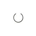828116 - CIRCLIPS
