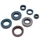 OIL SEAL (FULL SET) MINARELLI 50 AM6/MBK 50 X-LIMIT, X-POWER/YAMAHA 50 DTR, TZR/PEUGEOT 50 XPS, XR6/RIEJU 50 RS1, SMX/BETA 50 RR/APRILIA 50 RS, RX - TOP PERF AS ORIGINAL