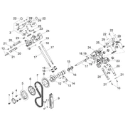 Distribution