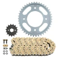 KIT CHAINE ADAPTABLE HONDA 125 CBF 2009>2016, 125 CBF M 2009>2016 428 16x42 (DIAM COURONNE 80/110/8.5) (DEMULTIPLICATION ORIGINE) -JT SPROCKETS/DID
