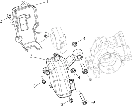 Protection Corps à papillon