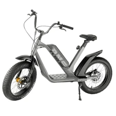 DRAISIENNE ELECTRIQUE RMS E-DRAIS MAX GRIS RAL 9006 MOTEUR 350 W HOMOLOGUE NF EN 14764 (GARDE-BOUE EN OPTION) (DIM 1,65x0,83x1,18m) -MADE IN FRANCE