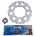 KIT CHAINE ADAPTABLE DERBI 50 SENDA 2000>2001, 50 R SENDA XTREME 2002>2003, 50 SENDA R 2000>2002  420  13x53  (DIAM COURONNE 105/125/8.5)  (DEMULTIPLICATION ORIGINE)  -AFAM-