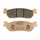 BRAKE PADS -POLINI FOR MBK 250 SKYLINER  Rear 125 CITYLINER Rear/ YAMAHA 250 MAJESTY  Rear 250 X-CITY  Rear 125 XMAX  Rear 250 XMAX Rear (L 100mm - H 31.5mm - thk9mm)  (174.2022)  (SINTERED)