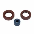 OIL SEAL FOR CRANKSHAFT+WATER PUMP SEALS (PRO-SERIES KIT) FOR PIAGGIO 50 ZIP SP, NRG LC -ARTEIN