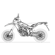 RXV 550 Pikes Peak 2009