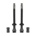 VALVE DE PNEU TUBELESS SCHWALBE CLIK VALVE 60 mm OBUS DEMONTABLE (VENDU A LA PAIRE SUR CARTE)