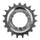 PIGNON NEXUS SHIMANO 19D. (MONTAGE ATELIER)