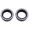 JOINT SPI EMBIELLAGE SCOOT ADAPTABLE PEUGEOT 50 LUDIX, JET FORCE, SPEEDFIGHT 3, KISBEE, DJANGO 2T (DIM 20x30x7 mm) (PAIRE)  -P2R-