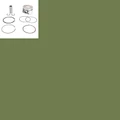 PISTON MAXISCOOTER ADAPTABLE SYM 125 FIDDLE 2, JET 4, SYMPHONY, ORBIT 2,3 / PEUGEOT 125 TWEET, 125 DJANGO, SPEEDFIGHT 3 -P2R
