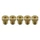GICLEUR PRINCIPAL PHBG/SHA POLINI   60  (SACHET DE 5) (360.1060)