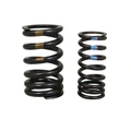 INLET VALVE SPRING KIT  "PIAGGIO GENUINE PART" APRILIA 1000-1100 RSV-4  -1A008432-