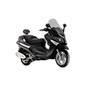 X Evo 250