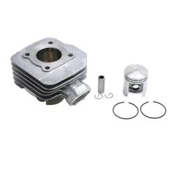 CYLINDER FOR SCOOT PIAGGIO 50 NRG 2000>/GILERA 50 RUNNER 2000>, DNA/APRILIA 50 SR L.C./DERBI 50 GP1 2000> -P2R CAST IRON + GRAPHITE PISTON