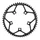 CHANRING FOR ROAD BIKE-5 arms- 52T. Ø110 -OUTER- BLACK CT2 STRONGLIGHT 10/11 Speed (SHIMANO TYPE)