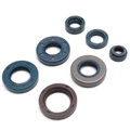 OIL SEAL (FULL SET) MINARELLI 50 AM6/MBK 50 X-LIMIT, X-POWER/YAMAHA 50 DTR, TZR/PEUGEOT 50 XPS, XR6/RIEJU 50 RS1, SMX/BETA 50 RR/APRILIA 50 RS, RX - TOP PERF AS ORIGINAL