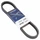 COURROIE MAXISCOOTER ADAPTABLE PIAGGIO 125 TYPHOON, SKIPPER/GILERA 125 RUNNER (828 x 22 x 9,5) -DAYCO KEVLAR