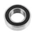 ROULEMENT BLACKBEARING B3 17x30-10mm (173110 2rs)