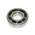ROULEMENT D'EMBIELLAGE 6204 (20x47x14) SKF TN9/C4 CAGE POLYAMIDE ADAPTABLE MBK 50 BOOSTER/YAMAHA 50 BWS/DERBI 50 SENDA/PEUGEOT 50 LUDIX, 103/CPI 50 ARAGON, OLIVER/KEEWAY 50 FOCUS (VENDU A L'UNITE)